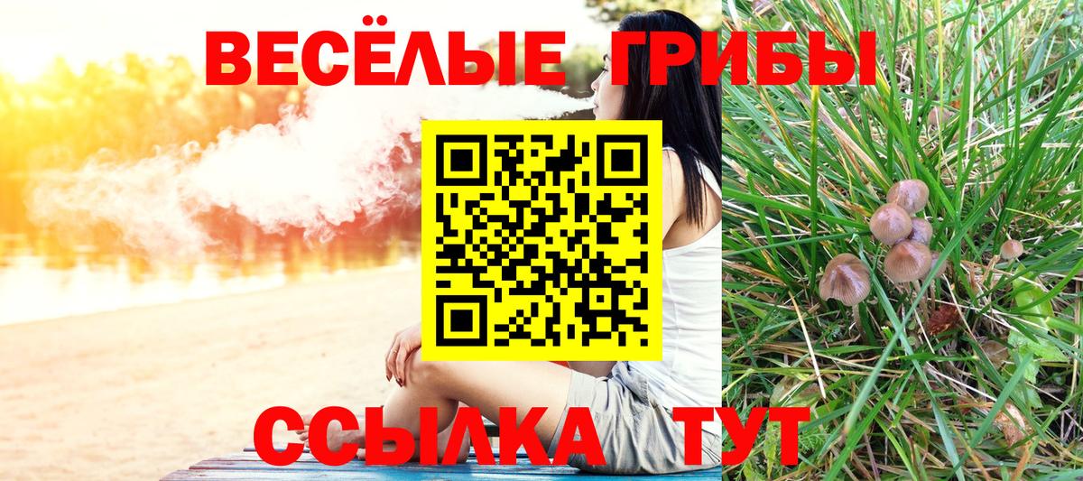 Псилоцибиновые грибы мицелий Заволжье