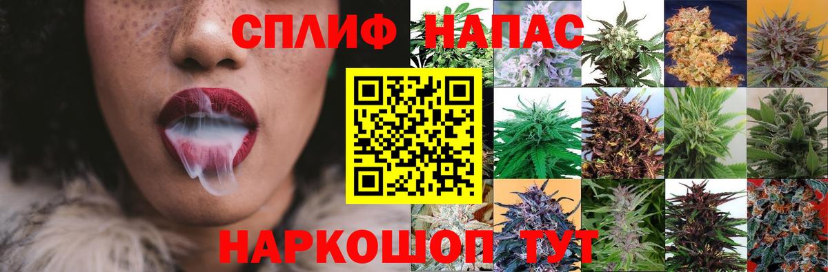 Конопля план  Каннабис гибрид  Каннабис семена  Вход с VPN  Заволжье 
